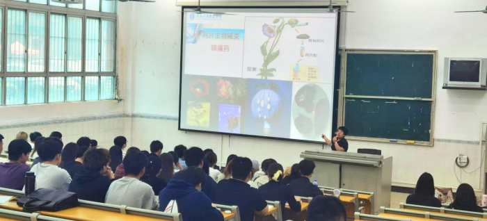 从药理机制到职业担当，展示课程思政深度与温度 | 智慧健康学院“镇痛药”公开课获师生好评